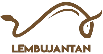 Lembu Jantan